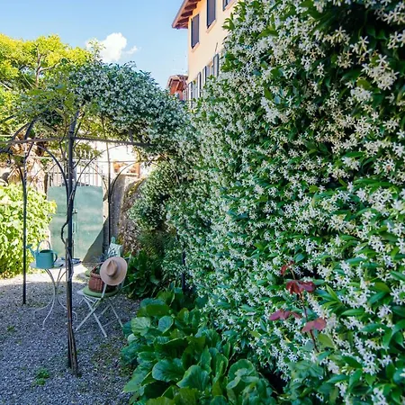 Charming House Bice - By Myhomeincomo Faggeto Lario